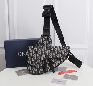 DIOR Handbags 876